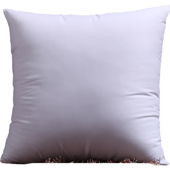 艾薇高弹沙发抱枕芯 方枕芯汽车靠垫芯腰靠芯床头靠枕芯50*50cm单只装