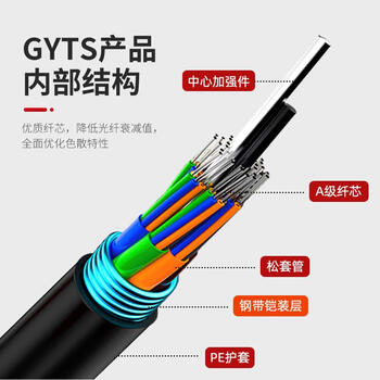 陆战鹰 GYTA53-24B1.3单模光缆24芯重铠地埋层绞式光纤线架空/管道 1米