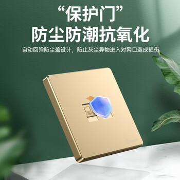 毕亚兹 网络面板 双网口网线电脑插座双扣 适用网络电话信息模块 通用超5/6/7类86型面板金色双口 1个装