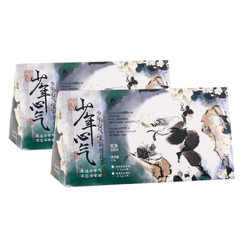 茶颜悦色冷泡茶 茉莉花香茶 少年心气茉莉红茶绿茶2盒装14枚35g 节日礼物