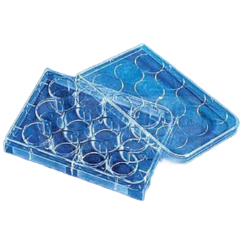 康宁 一次性塑料细胞培养板细菌微孔板平底ELISA酶标板生物实验室圆孔培养皿板 【灭菌】12孔平底带盖 3513