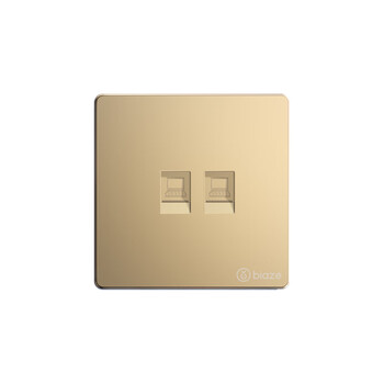 毕亚兹 网络面板 双网口网线电脑插座双扣 适用网络电话信息模块 通用超5/6/7类86型面板金色双口 1个装