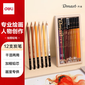 得力（deli）丹途彩色炭笔沁容套装（12支/盒）专业绘画手绘素描彩绘软款画画RK4-B女孩儿童礼物