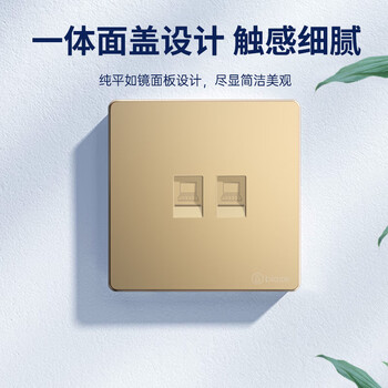 毕亚兹 网络面板 双网口网线电脑插座双扣 适用网络电话信息模块 通用超5/6/7类86型面板金色双口 1个装