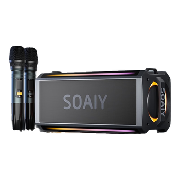 索爱（soaiy）SH05户外K歌5.3蓝牙音箱声卡音响一体机四喇叭双振膜立体声重低音炮混响广场舞直播带2个麦克风