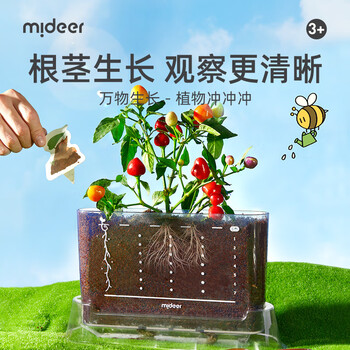 弥鹿（MiDeer）阳光房种植儿童科学小实验套装植物生长观察盒儿童生日新年礼物