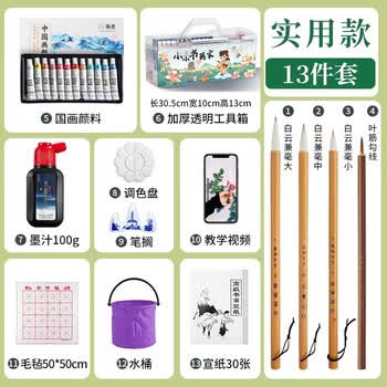 玉水湖国画颜料套装12色小学生入门水墨画工具用品儿童全套初学者材料高级美术生 书法家透明加高13件套