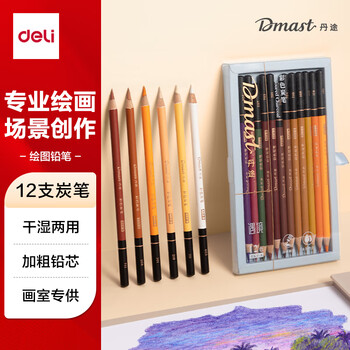 得力（deli）彩色炭笔遇境套装（12支/盒）专业绘画手绘素描彩绘软款画画丹途RK4-A女孩儿童礼物