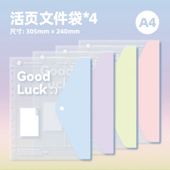 三年二班 4个装Goodluck文件袋学生桌面透明文件袋试卷收纳小学生科目袋资料档案袋文件袋-混色4个装