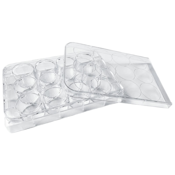 百迪 一次性细胞培养板细菌孔板ELISA酶标板圆孔生物化学实验室无菌无酶 【灭菌】12孔平底带盖 H803001