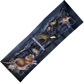 MEN WOO老鼠强力贴粘鼠毯 老鼠贴粘鼠板老鼠药灭捕鼠一窝端神器加大号3条