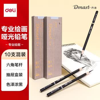 得力（deli）哑光铅笔套装(10支/盒)专业绘画手绘素描彩绘软款画画丹途RK2女孩儿童毕业礼物男女孩