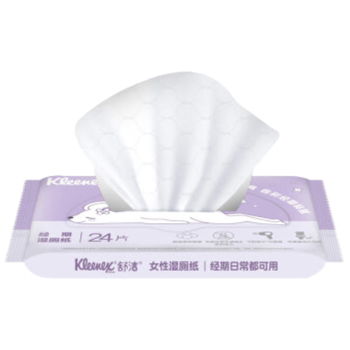 舒洁（Kleenex）湿厕纸24抽*10包湿厕纸小包洁厕湿纸巾湿厕纸女性专用湿巾厕纸