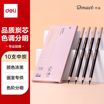 得力（deli）丹途炭笔-中(10支/盒)专业绘画手绘素描彩绘软款画画RK1-4女孩儿童毕业礼物男女孩
