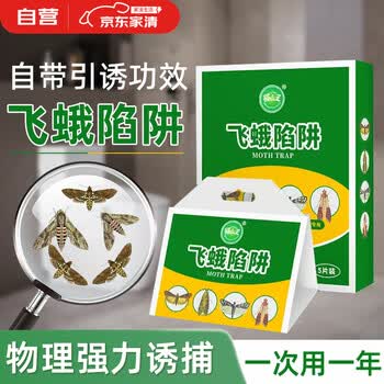 COODORA飞蛾诱捕器米蛾陷阱强效家用杀虫剂衣蛾蚋蛾蠓灭杀神器粘板5片装