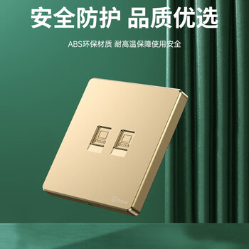 毕亚兹 网络面板 双网口网线电脑插座双扣 适用网络电话信息模块 通用超5/6/7类86型面板金色双口 1个装