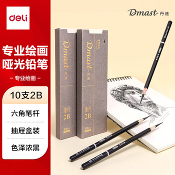 得力（deli）丹途哑光铅笔2B(10支/盒)专业绘画手绘素描彩绘软款画画RK2-2B女孩儿童