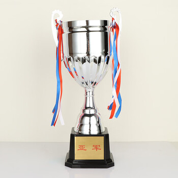 英翔盛金属奖杯自助打印体育比赛个人团体学生奖品篮球足球运动会金银铜杯银色款