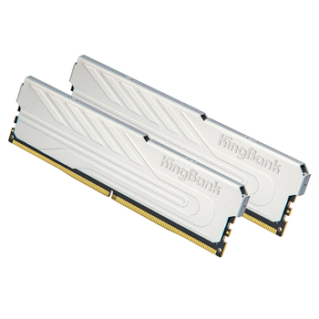 金百达（KINGBANK）32GB(16GBX2)套装 DDR5 6400 台式机内存条海力士M-die颗粒 银爵 C32 Deepseek硬件
