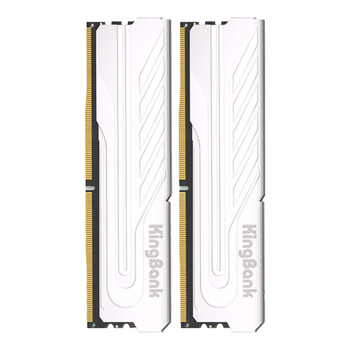 金百达（KINGBANK）16GB(8GBX2)套装 DDR4 3200 台式机内存条 银爵 C16 适配黑神话悟空