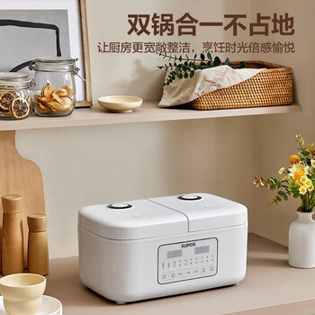 苏泊尔（SUPOR） 双胆电饭煲电饭锅家用不粘2+2L香甜饭煲仔饭多功能智能预约米饭锅 SF20TC601双胆双控 4L