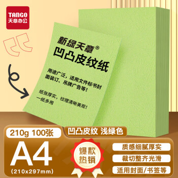 天章 （TANGO）A4封面纸 双面凹凸皮纹纸 压纹纸 云彩纸 封皮纸 彩色卡纸标书封面硬厚手工卡纸 浅绿色210g100张