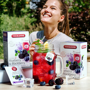 TEEKANNE德国进口花果茶蓝莓黑莓果茶包洛神花玫瑰茄袋泡茶20包/盒果香装