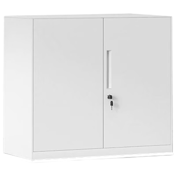 中伟（ZHONGWEI）办公矮柜钢制文件柜带锁储物柜铁皮柜办公室档案柜760mm收纳柜