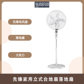 先锋家用五叶电风扇大风量广角立式摇头定时风扇客厅宿舍电扇 FS40-11B