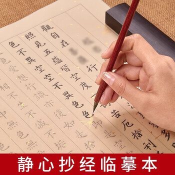檀烨轩大悲咒临摹抄经静心抄经本楷书临摹本初学者般若菠萝蜜多作品纸小楷练字10张10遍