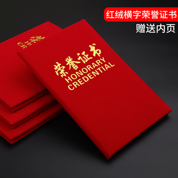 泰档证书荣誉证书绒面烫金A4尺寸加厚空白内芯内页大12开（A4）10张RJ1210