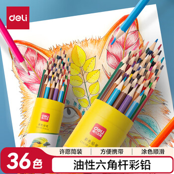 得力（deli）彩铅36色油性彩色铅笔原木六角杆学生涂色专业美术画笔套装彩笔文具女孩儿童礼物涂鸦毕业