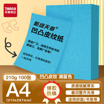 天章 （TANGO）A4封面纸 双面凹凸皮纹纸 压纹纸 云彩纸 封皮纸 彩色卡纸标书封面 硬厚手工卡纸湖蓝色210g100张