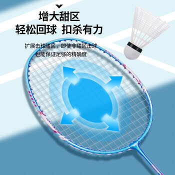 何大屋对拍家庭娱乐训练入门级铝合金羽拍套装 情侣羽毛球拍 HDW1314