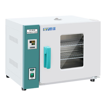 恩谊 电热恒温鼓风干燥箱实验室药材烘干老化试验工业烤箱 不锈钢内胆 101-0内部35*35*35cm-42升