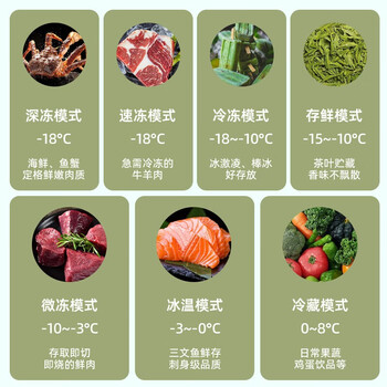 冰熊（bingxiong）冰柜.家用小型一级节能低噪 食品保鲜小冰箱 99L 玫瑰金【减霜 单门】【企采购】