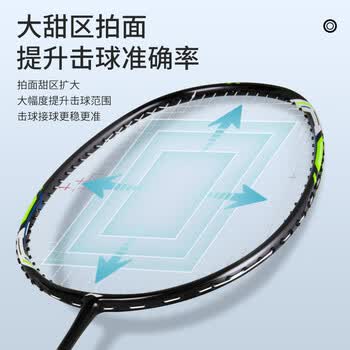 李宁（LI-NING）李宁羽毛球拍战戟900灰紫对拍碳复合球拍已拉线AYPV033-22