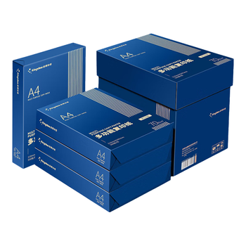 Kingdee金蝶A4打印纸 70g500张*5包一箱 双面加厚 顺滑打印复印纸 整箱2500张 M1103