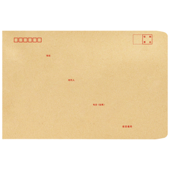 浩立信（LISON）【全网低价】A4信封9号牛皮纸信封 325*227 100个/包信封邮局标准信纸发票工资袋信封袋1522