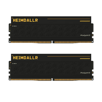 阿斯加特（Asgard）32GB(16GBx2) DDR5 6400 台式机内存条 海姆达尔 马甲条 海力士M-die CL32 黑厚甲