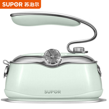 苏泊尔（SUPOR）挂烫机 家用熨烫机蒸汽电熨斗小型便携熨衣机大蒸汽大面板烫衣服 GH-300C 绿色