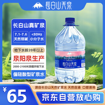 长白山天泉 偏硅酸型天然矿泉水 （泉阳泉生产） 天然弱碱性矿泉水 5L*4桶
