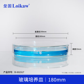 垒固高硼硅玻璃培养皿 实验室细胞细菌培养皿 180mm 1套 玻璃培养皿