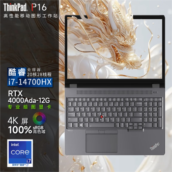 联想ThinkPad P16 2024 Ai 16英寸3D建模移动工作站笔记本 定制（i7-14700HX 32G 4TB RTX4000Ada）