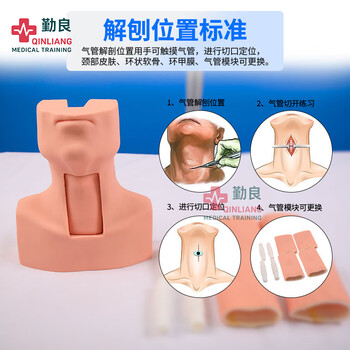勤良高级环甲膜穿刺切开训练模型 模拟气管切开与环甲膜穿刺训练教学模型带环状软骨QL/J58