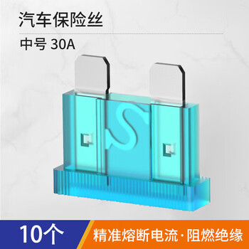 汇君 汽车保险丝保险片车用保险片插片4S店保险丝管套装 中号30A-10片