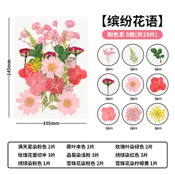 天色干花书签压花材料包创意手工制作毕业纪念礼物小学生男女孩植物标本缤纷花语系列粉色19朵TS-6134