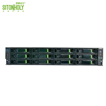思腾合力（SITONHOLY）国产自研信创DEEPSEEK 671B满血（7360*2/16G*2/480G/Atlas华为300I Duo 96G）2U服务器CS2220-HA