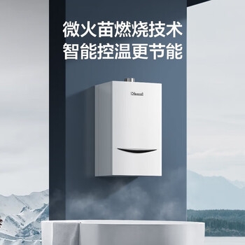 林内（Rinnai）24KW 80-120㎡ 防止空燃 自动气压调节 烟道堵塞保护 燃气壁挂炉L1PB27-24C33(RBS-24C33)