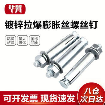 华臂金属加长超长膨胀螺栓 膨胀螺丝镀锌拉爆铁胀管 膨胀丝  12*100（20个）